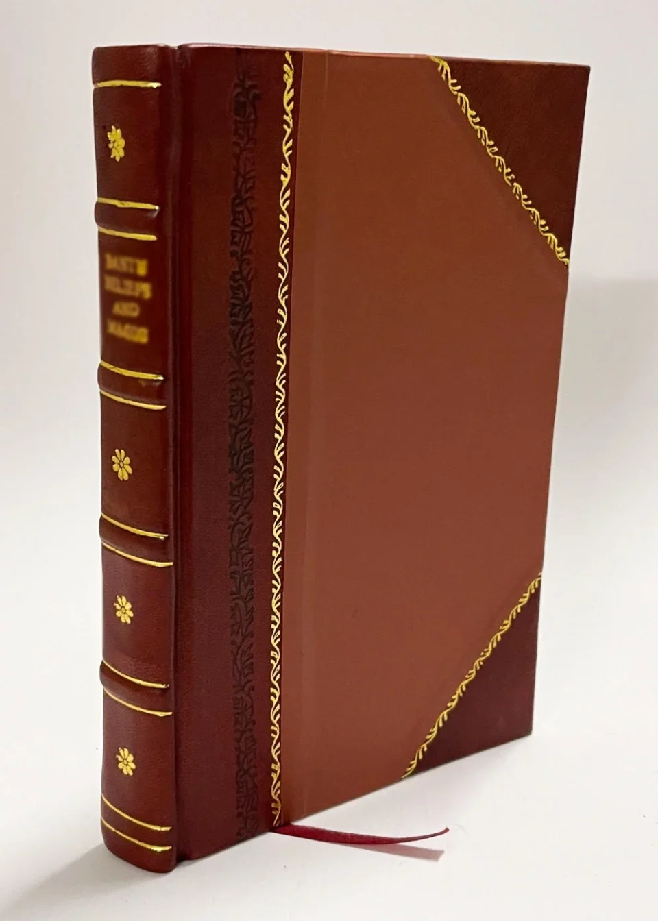 Food-Grade Abroad with the Boys / Wellens, Frances Repplier. (1911) (1911) [Leather Bound]